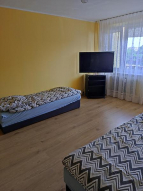 Apartament na Wyszyńskiego - mieszkanie w centrum Myszkowa dla firm i nie tylko